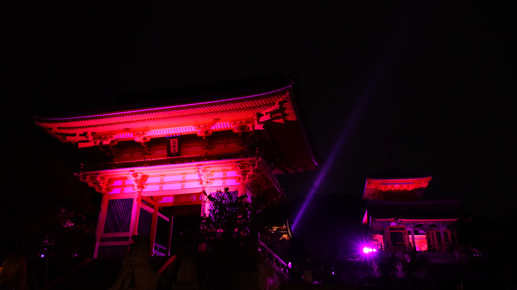 ピンクの清水寺