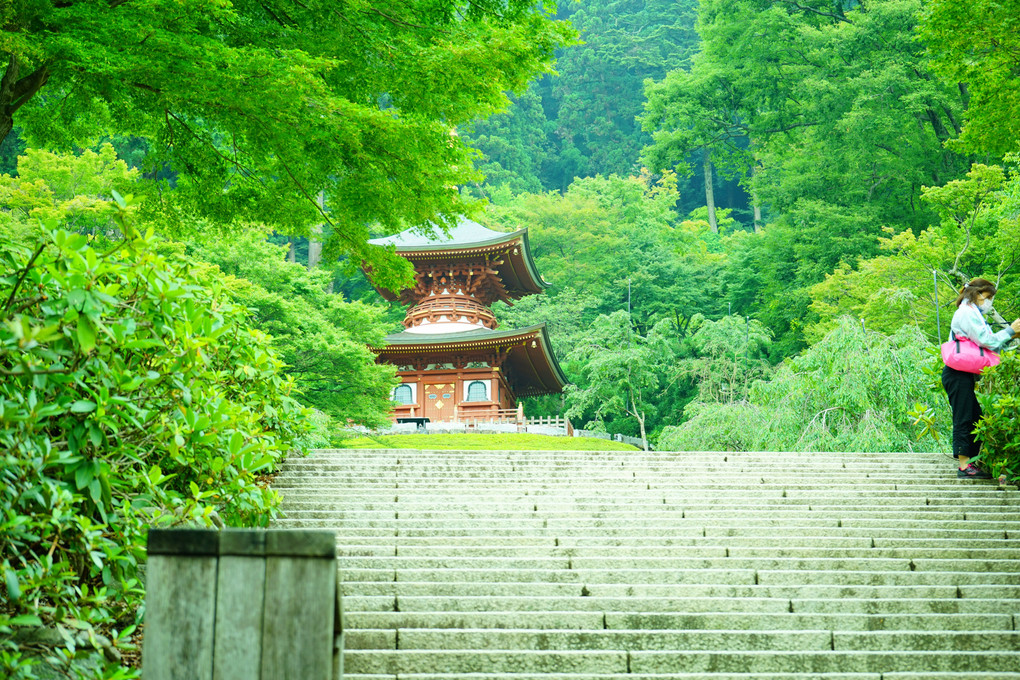 森のお寺 勝尾寺
