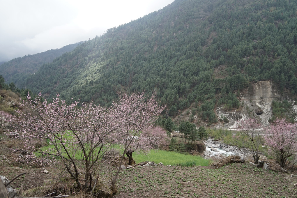 ネパール4月の風景、その1