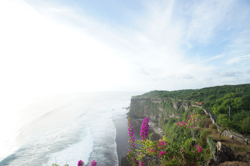 絶壁の花 in Bali