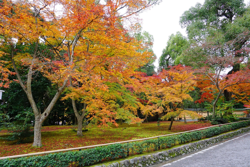 京都・金閣寺入口庭園