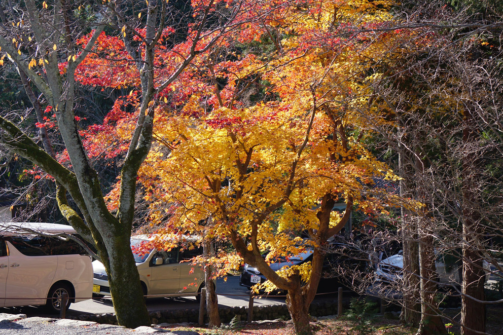 京都岡崎・南禅寺の秋