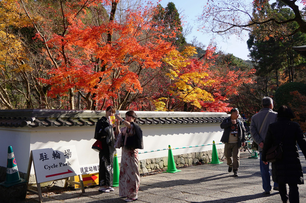 京都永観堂・名残の秋
