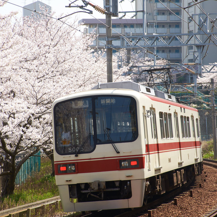 神戸電鉄 2018 #3 ～桜～