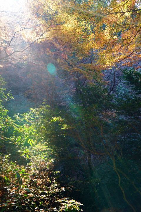 王滝渓谷の紅葉
