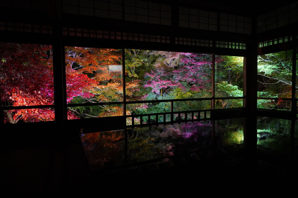 京都瑠璃光院特別拝観のライトアップ