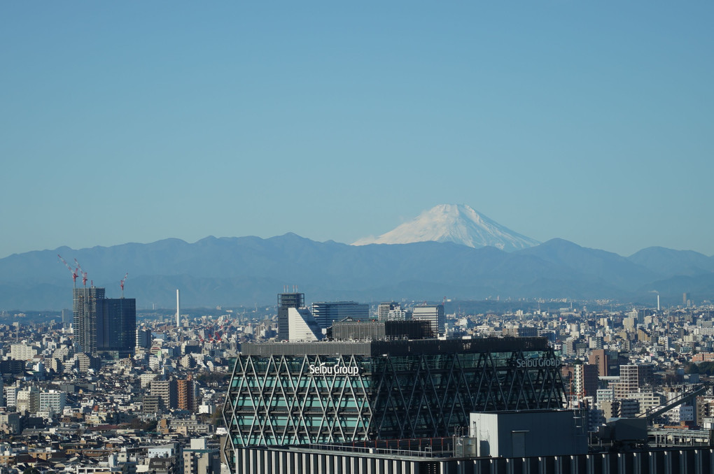 サンシャイン60高層階からの富士山