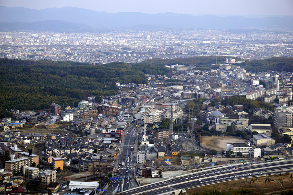 きょう を とる