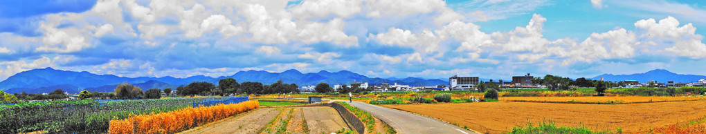 京都北山を望む（パノラマ・スクロール）