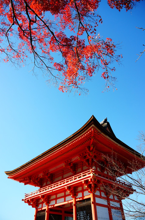 清水寺の秋