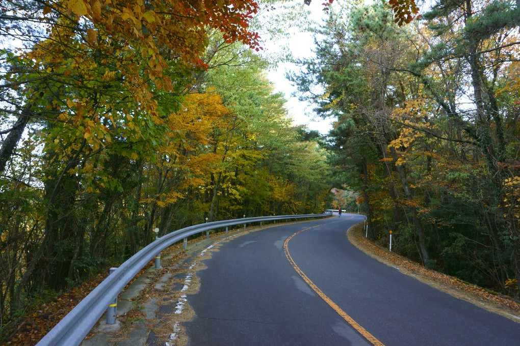 寒霞渓の紅葉