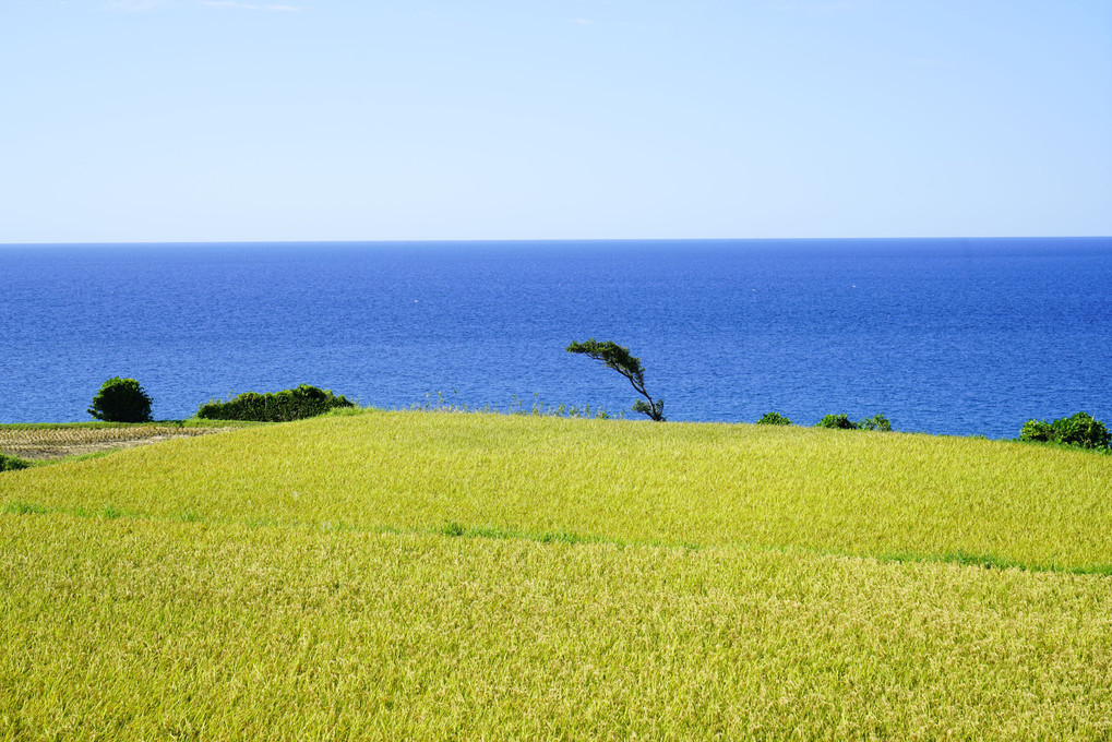 夏の終わり、秋の始まり