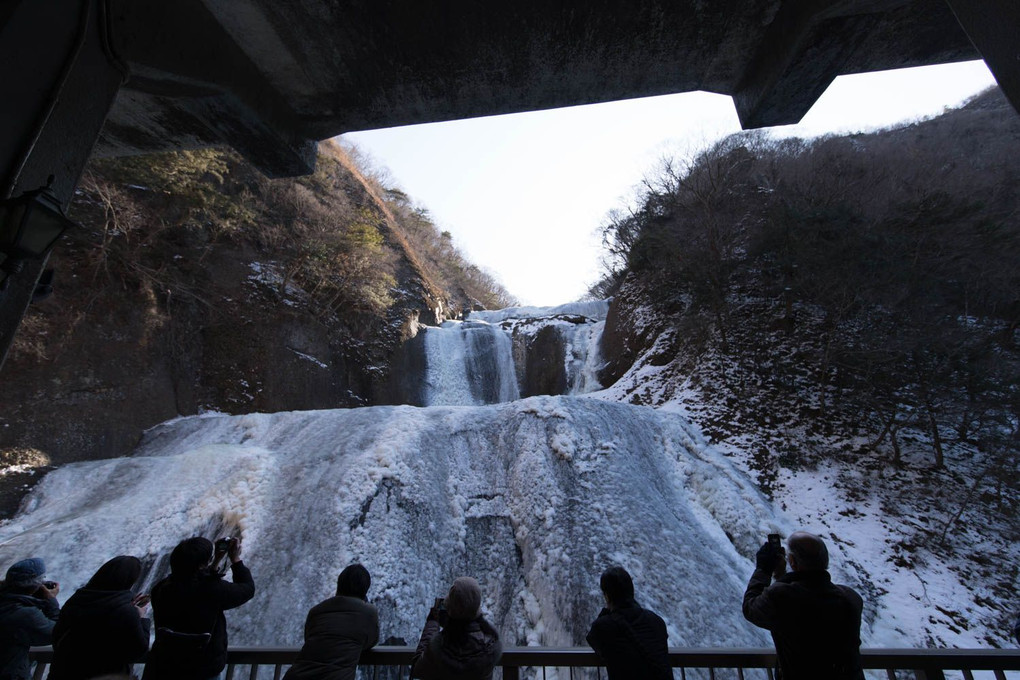 袋田の滝の「氷瀑」