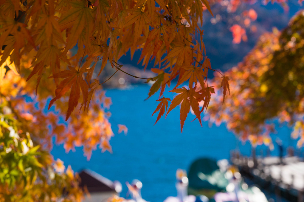 中禅寺湖畔で感じる秋