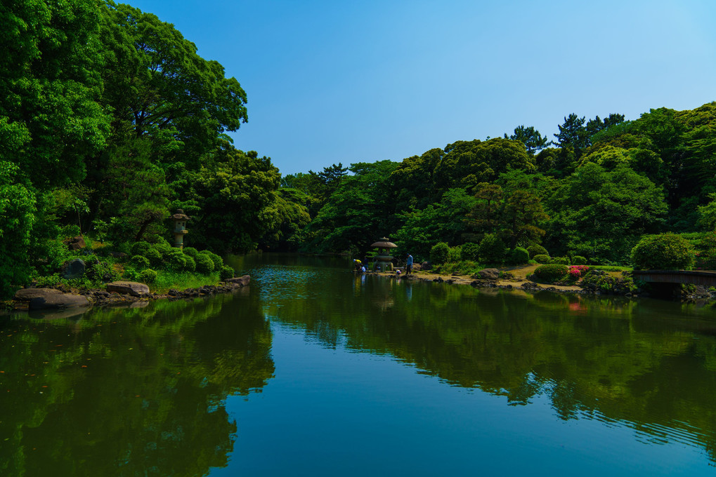 α体験会　講師と行く～新緑探し@新宿の公園編～