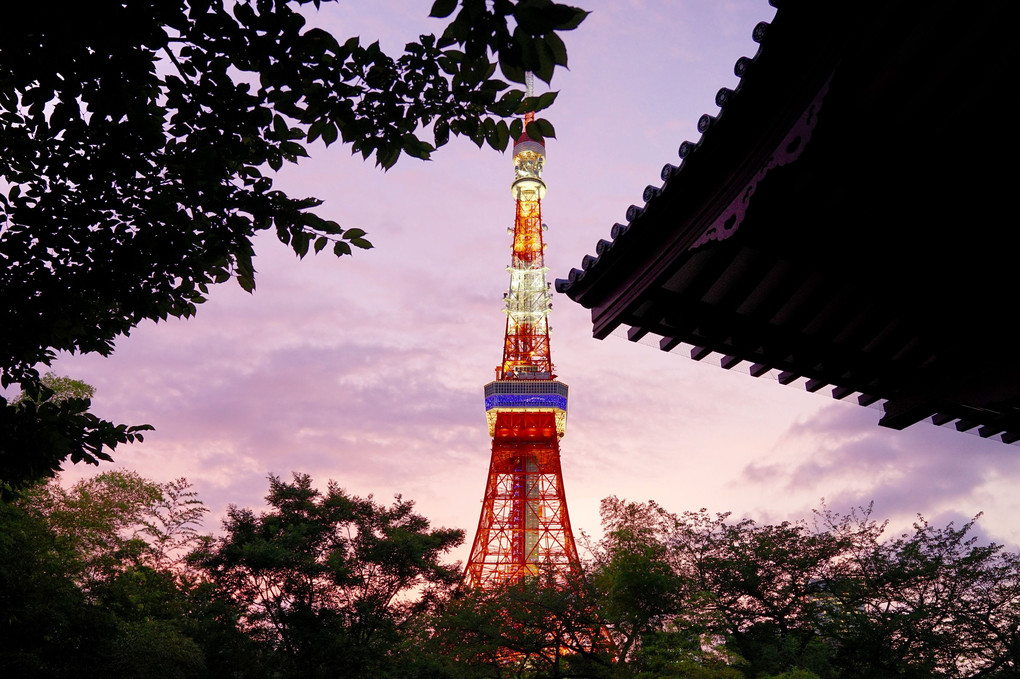 そびえ立つ東京タワー