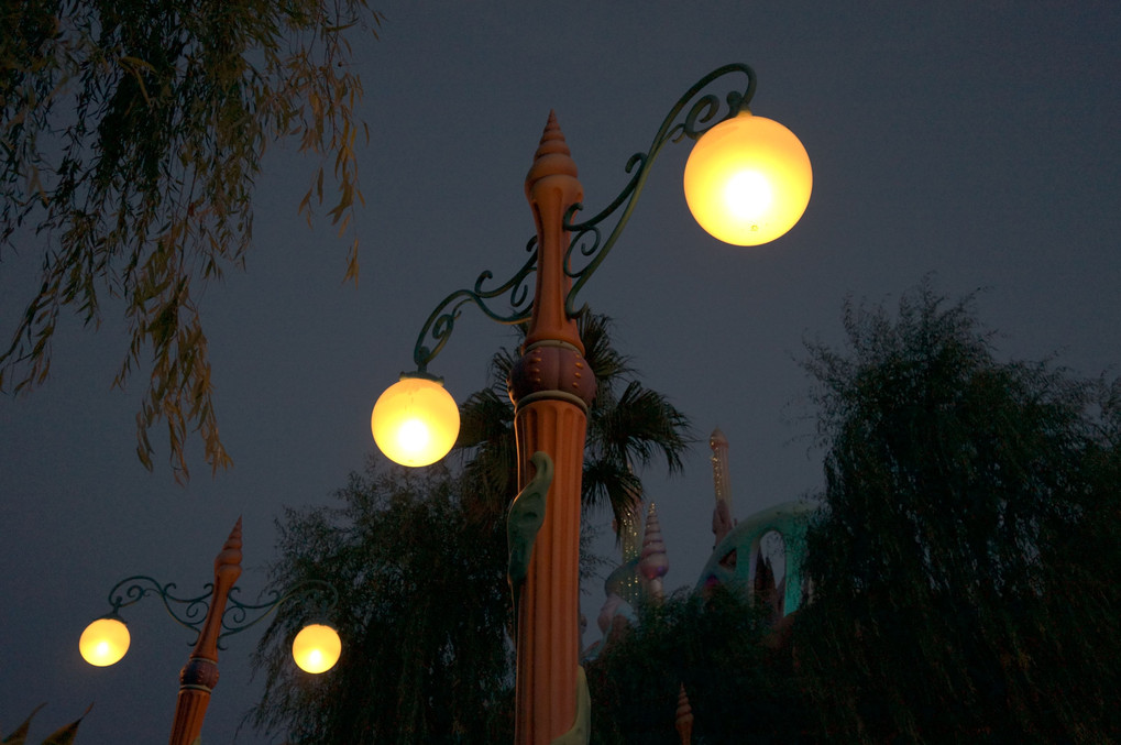 ディズニーシー夜の部