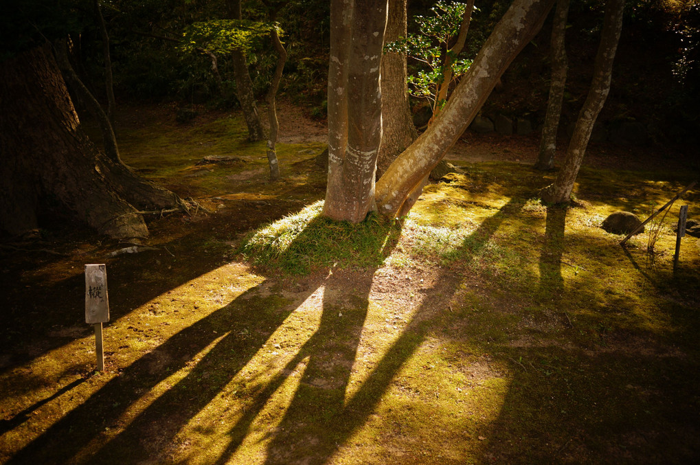 うつりかわり 〜志波彦神社・鹽竈神社〜