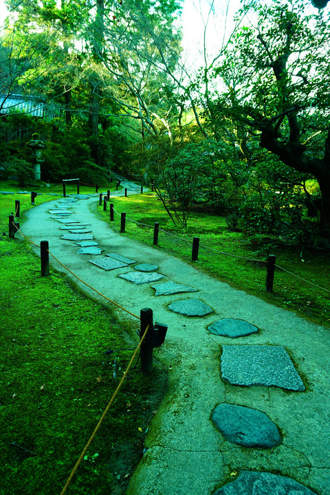 冬の青蓮院門跡