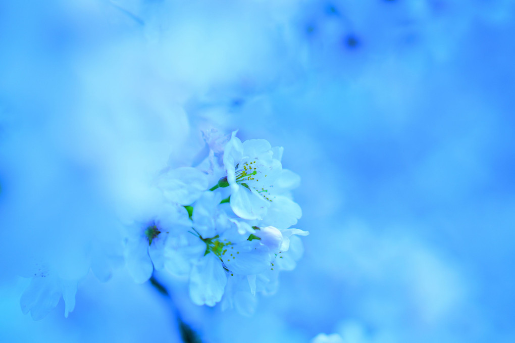 a moment in blue