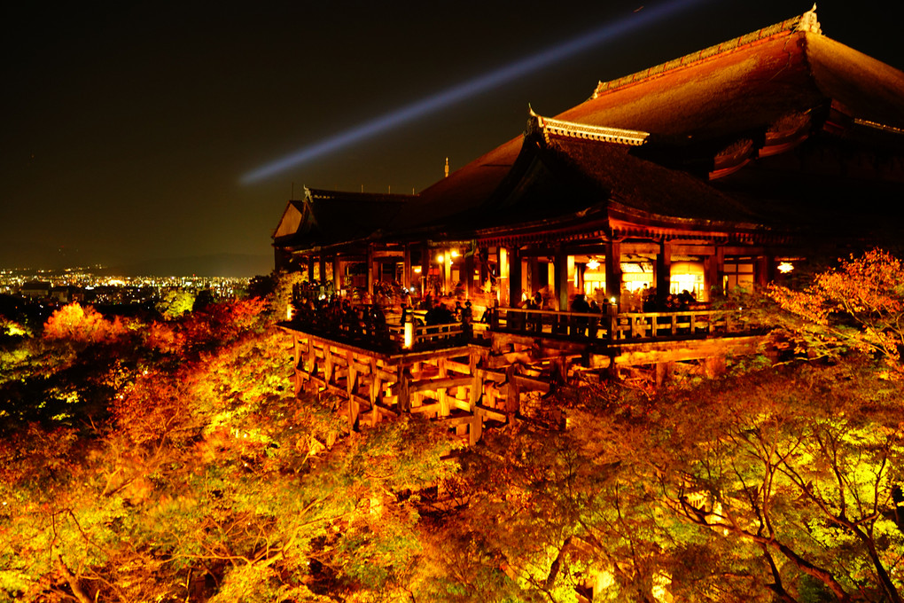 京都　ライトアップ