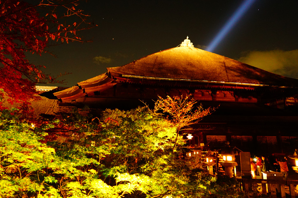 京都　ライトアップ