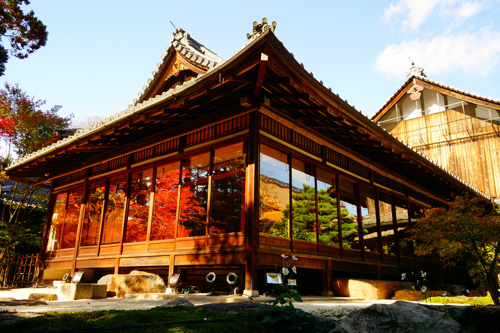 京都　神社仏閣巡り