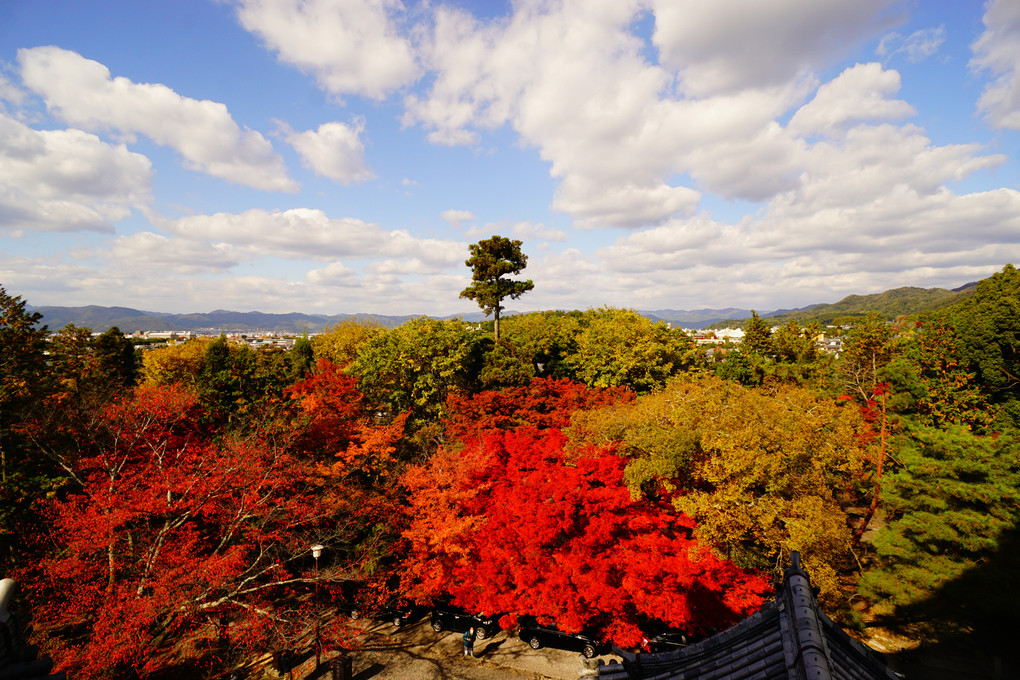 京都　神社仏閣巡り