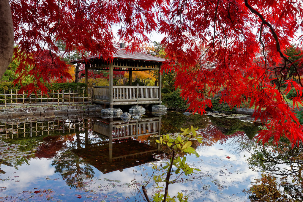 平岡樹芸センター