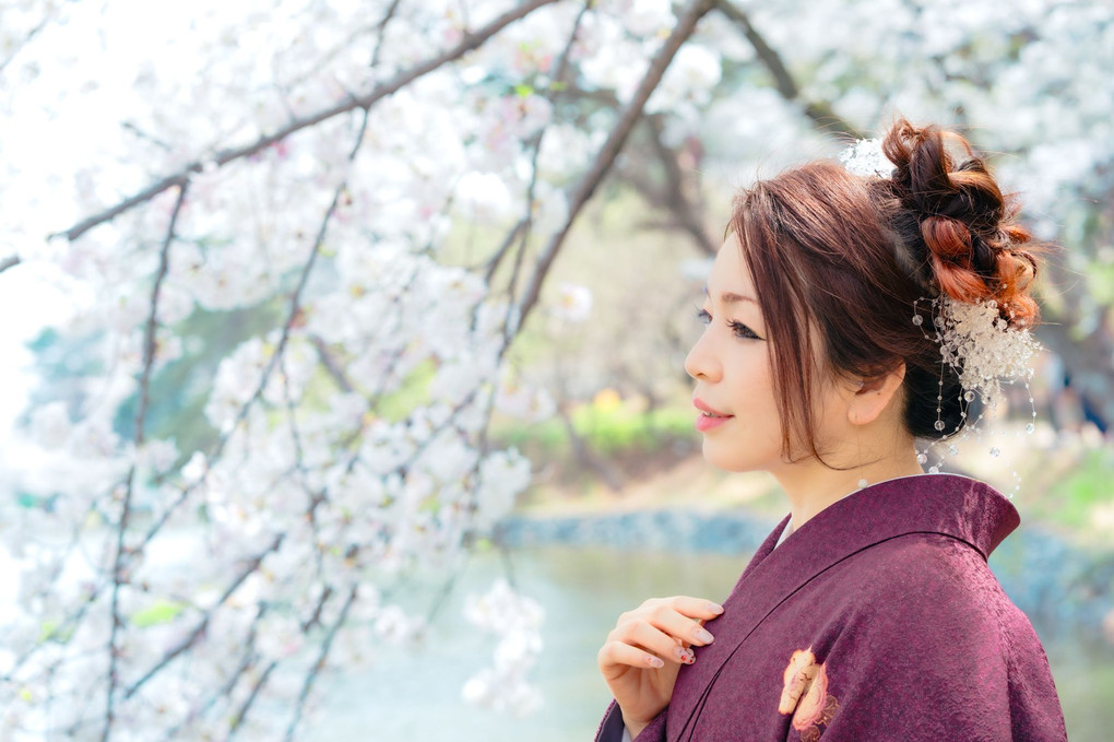 桜の季節は着物で散歩