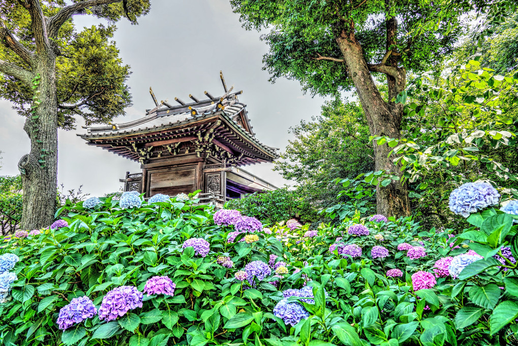 白山神社・・・(HDR絵画調)