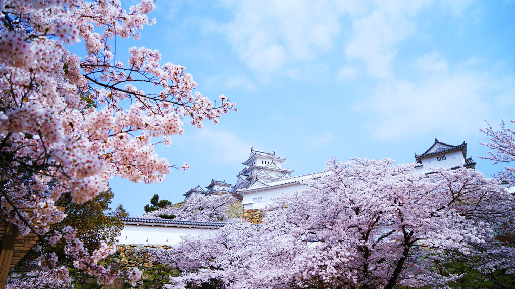 万朶の桜か襟の色～ ♬