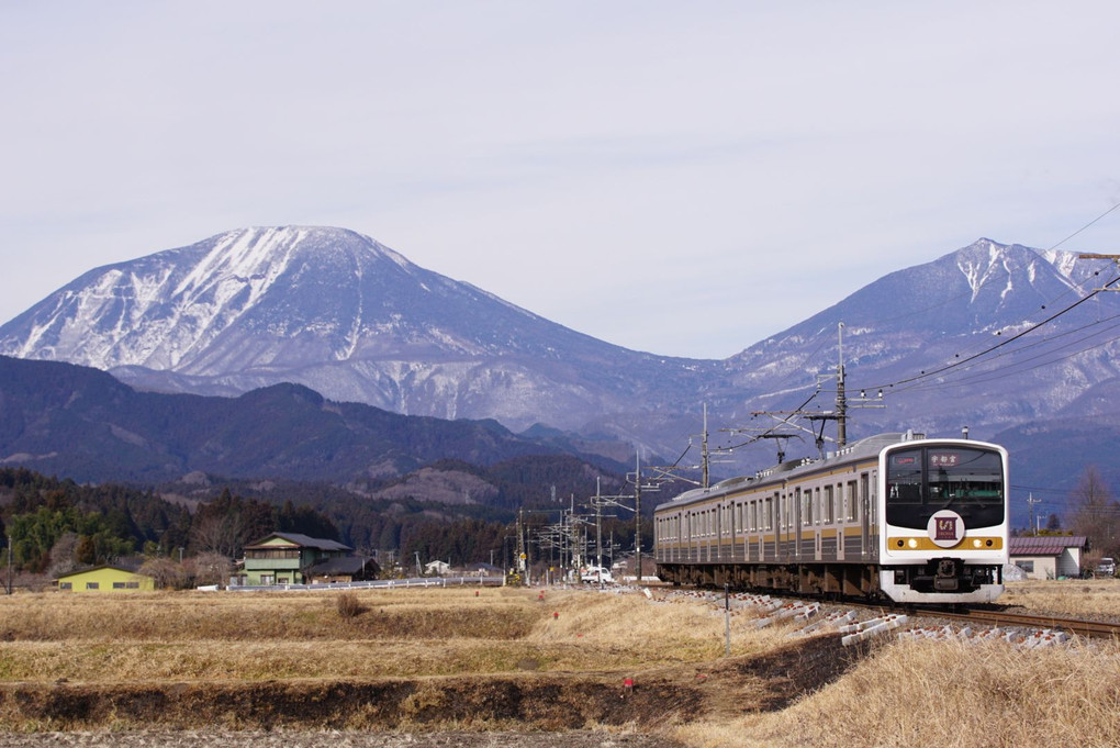 いろは