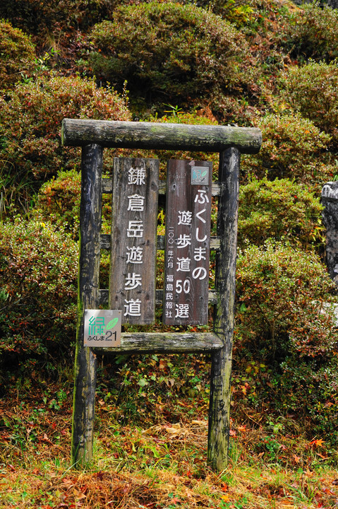 鎌倉岳遊歩道の秋