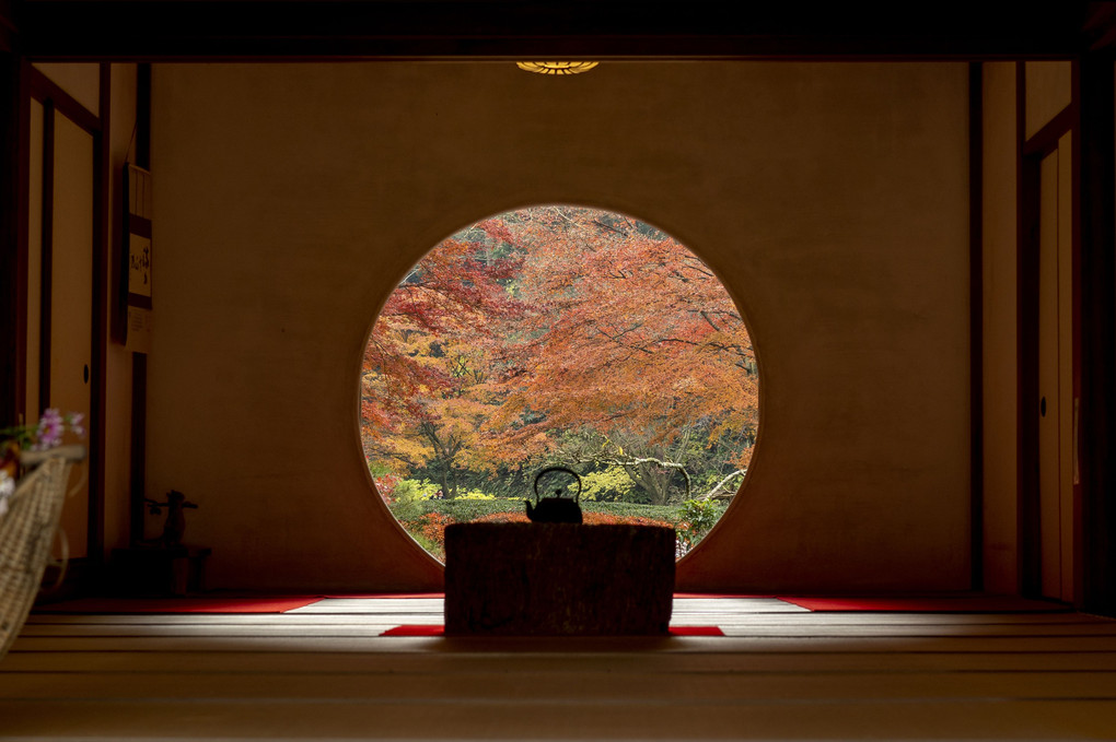 明月院、紅葉の庭