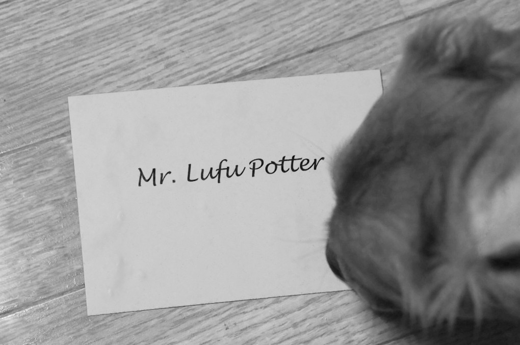 Lufu Potter～ある1通の手紙～