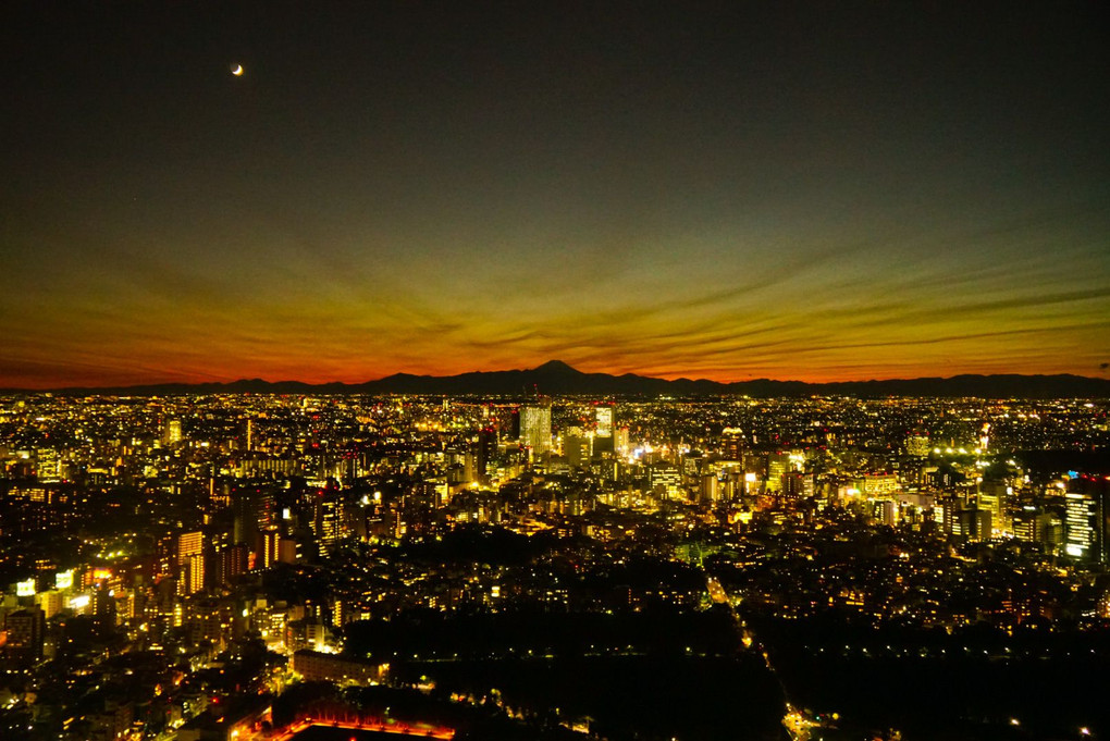 ザ・リッツ・カールトン東京からの景色