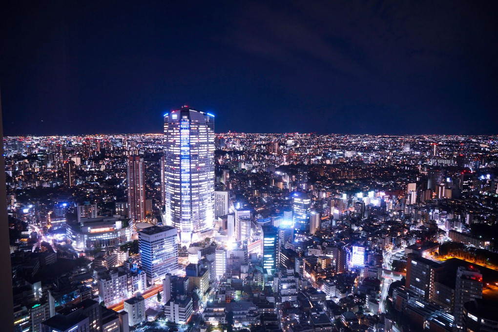 ザ・リッツ・カールトン東京からの景色