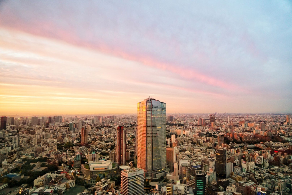 ザ・リッツ・カールトン東京からの景色