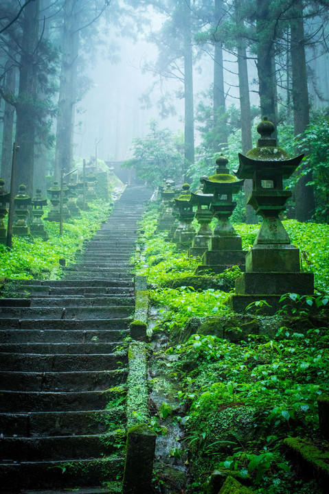 山神の森