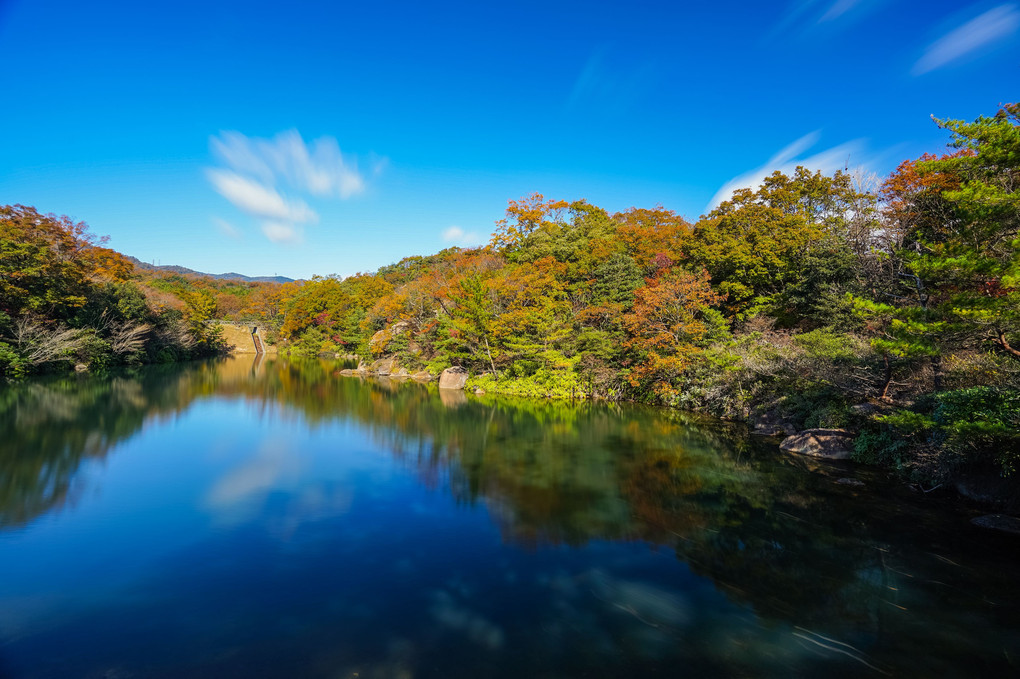 秋晴れの北山池