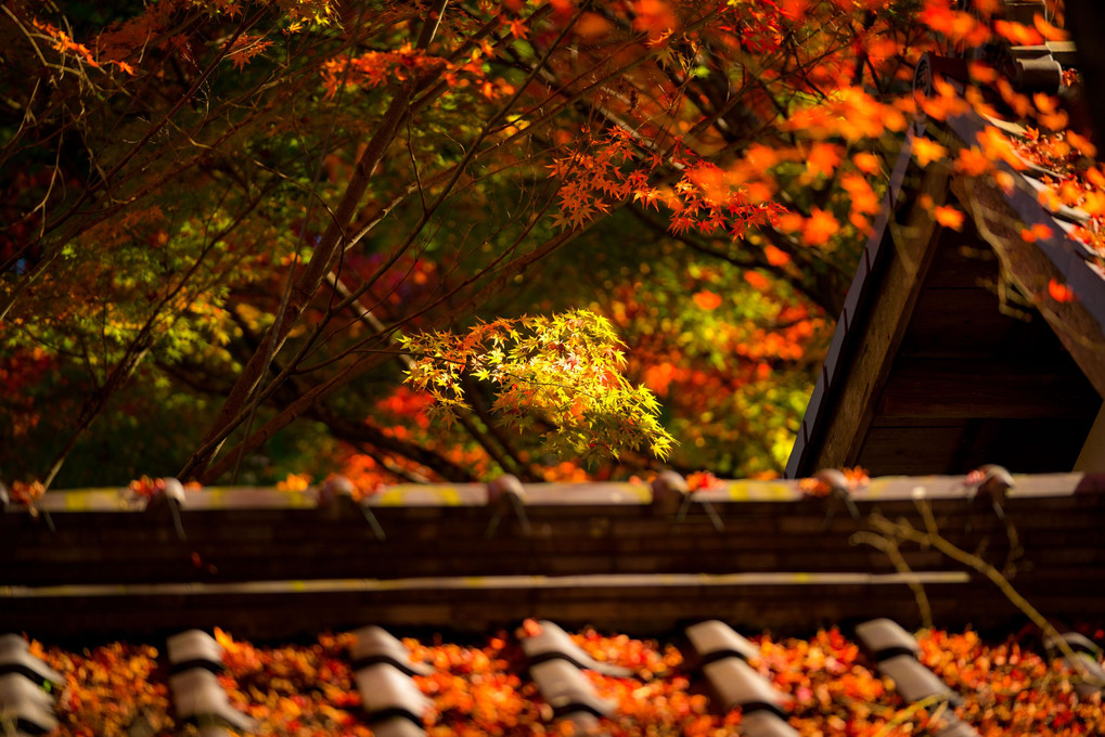 国宝長壽寺（湖南三山）