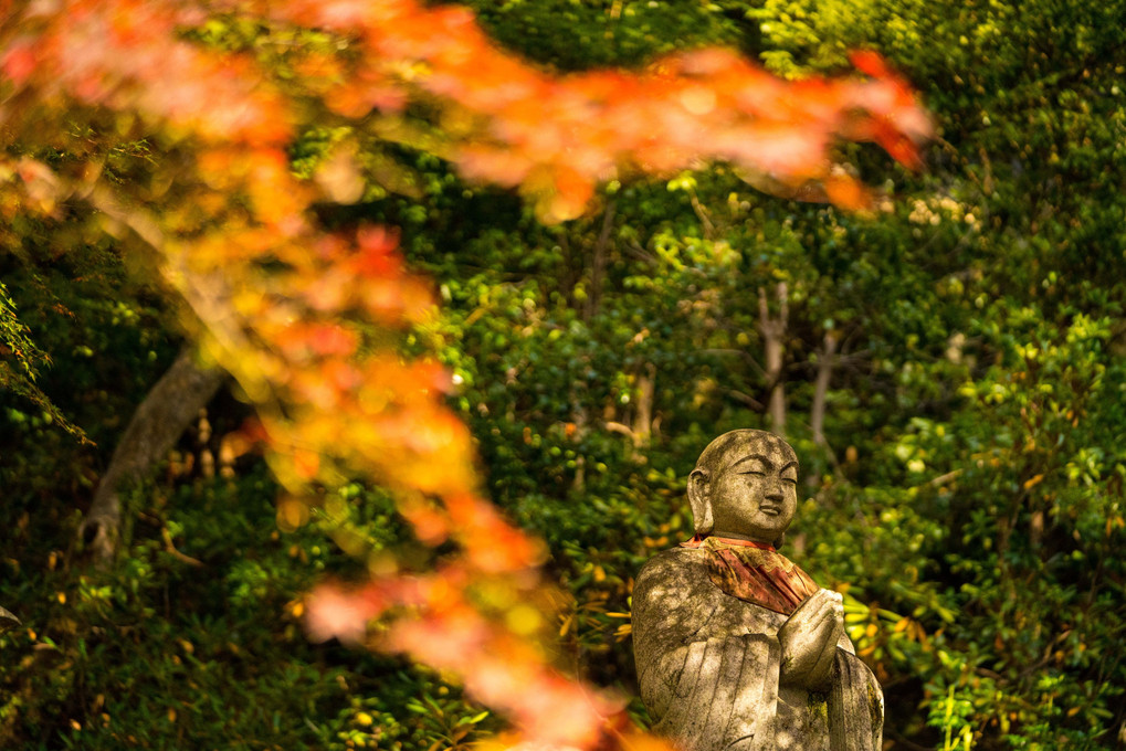 秋の長谷寺探訪