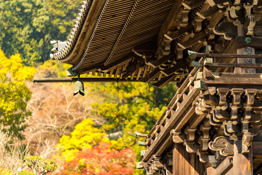 秋の長谷寺探訪
