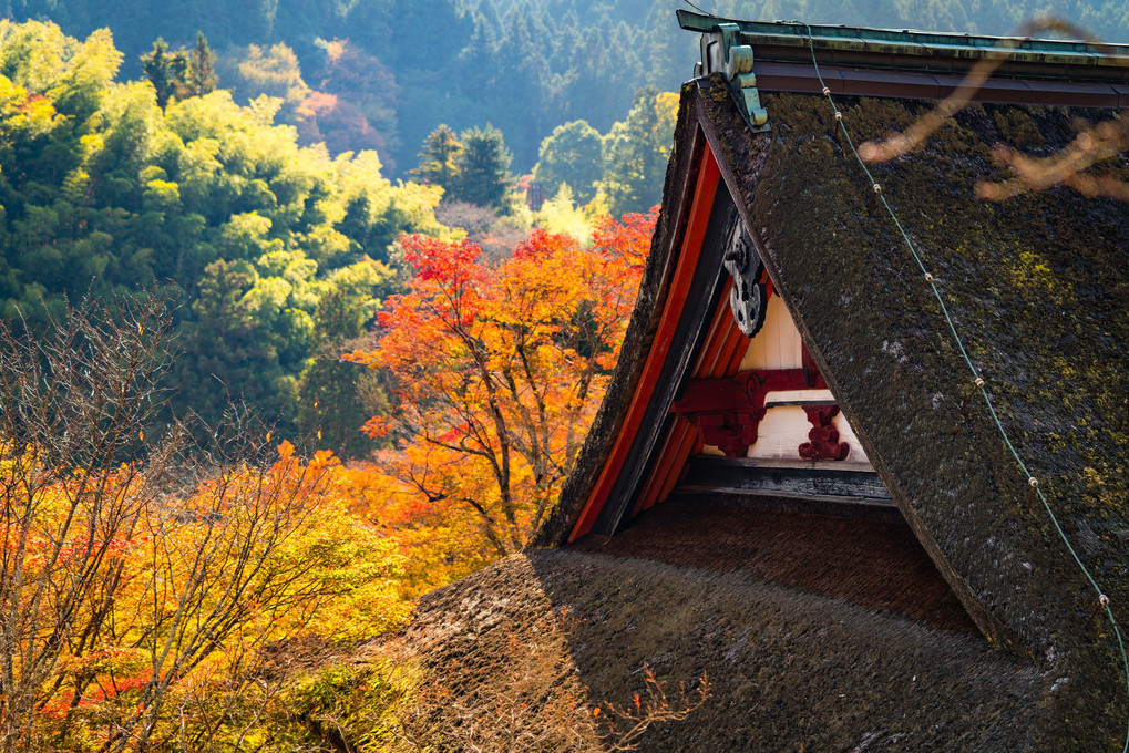 秋の談山神社