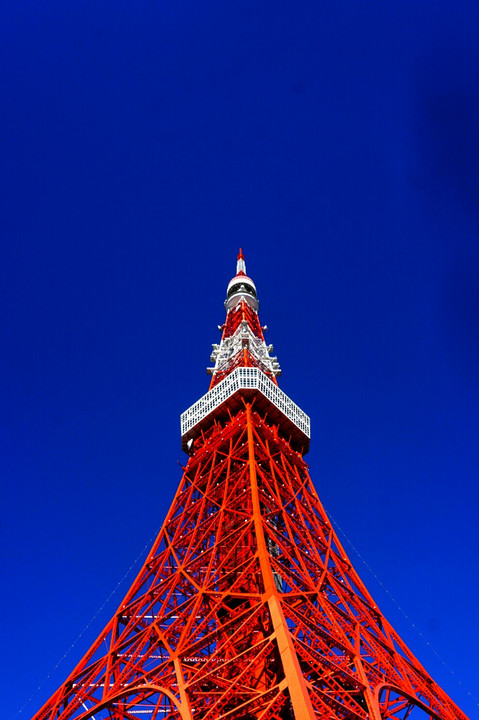 東京タワー 青と赤とときどき白