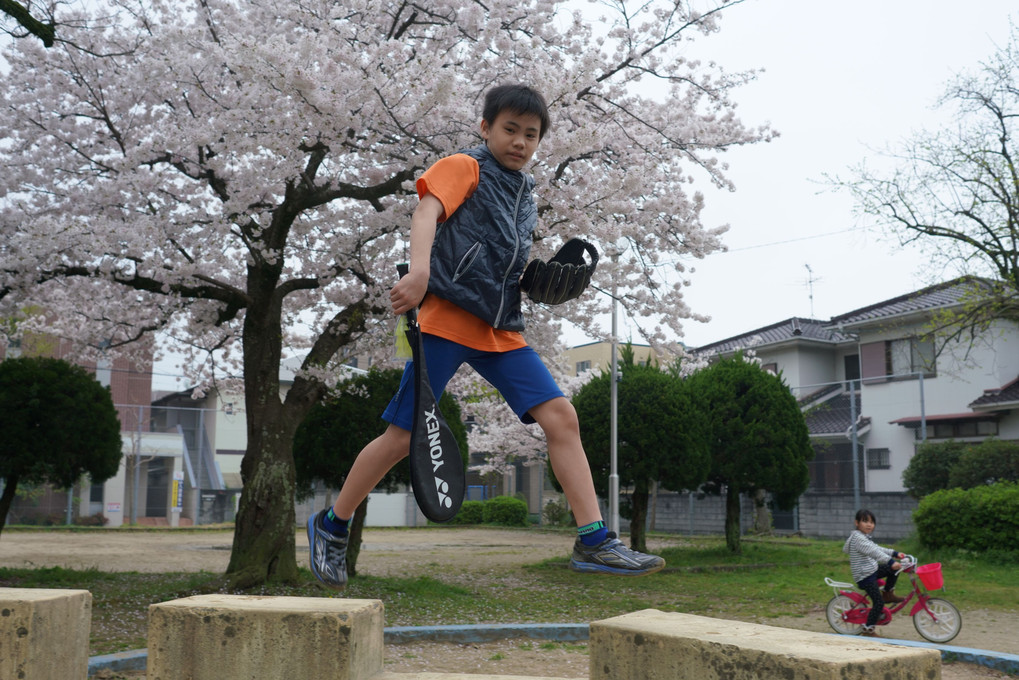 桜　jump!