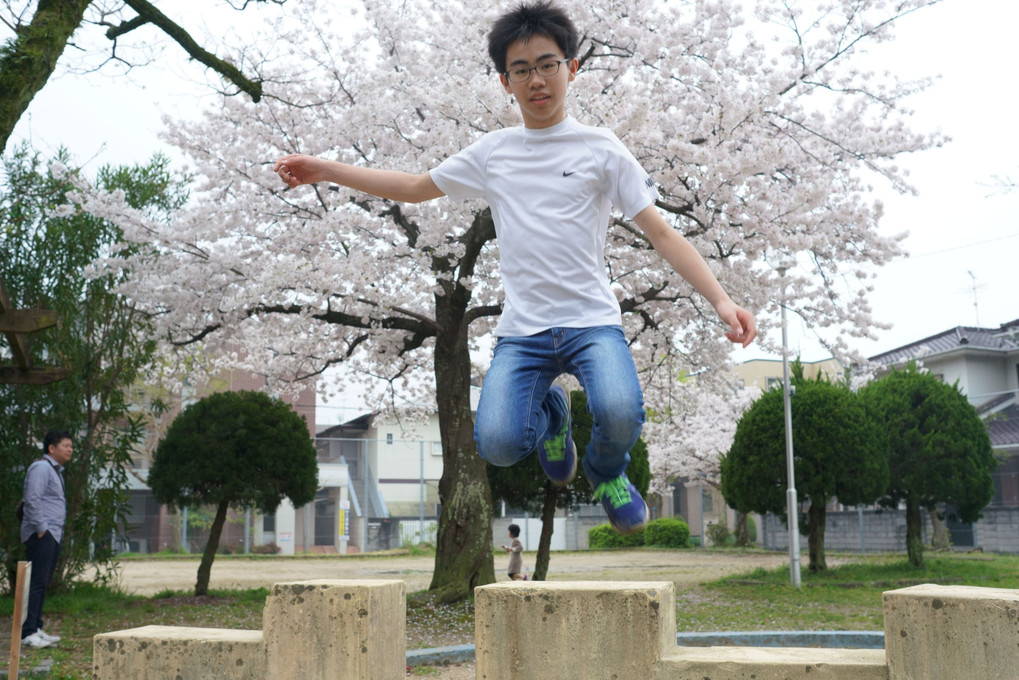 桜　jump!