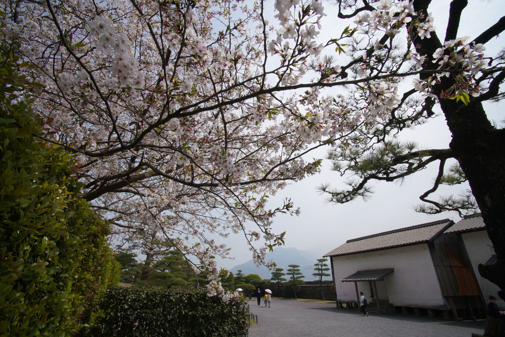 鹿児島市仙巌園