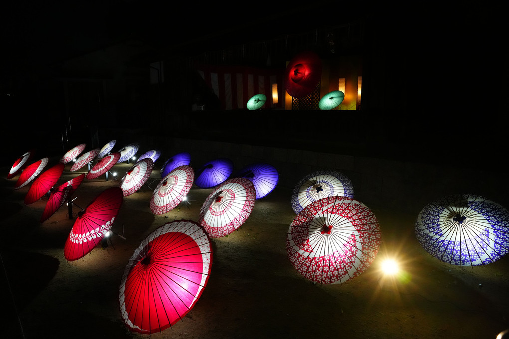 紅葉八幡宮　もみじ祭り（夜の部のみ）